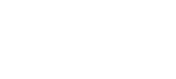 voicy Original
