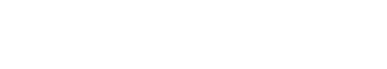 Voicy Original