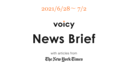 考古学を英語で言うと？Voicy News Brief with articles from The New York Times 6/28-7/2 ニュースまとめ