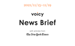 陣痛を英語で言うと？Voicy News Brief with articles from The New York Times 11/15-11/19 ニュースまとめ