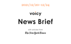 神経学者を英語で言うと？Voicy News Brief with articles from The New York Times 12/20-12/24 ニュースまとめ